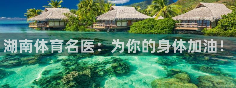 风速体育直播