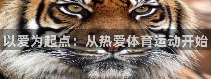 风速体育下载