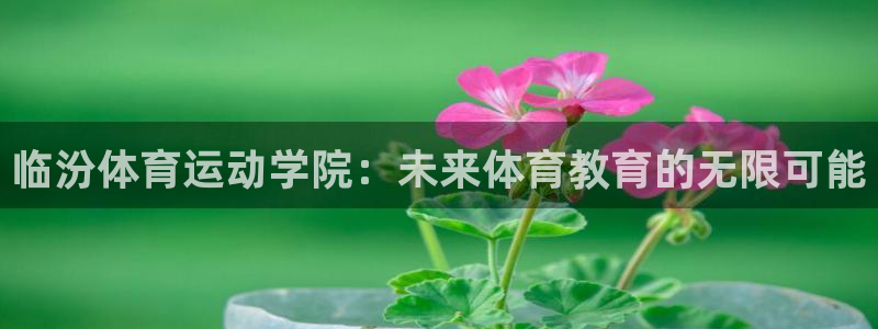 风速体育官网：临汾体育运动学院：未来体育教育的无限可能