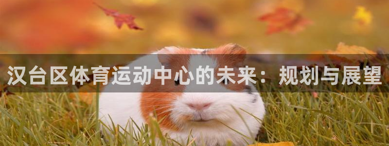 风速体育nba直播：汉台区体育运动中心的未来：规划与展望