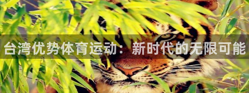 风速体育app官方下载