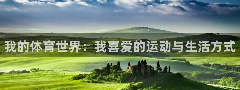 风速体育直播：我的体育世界：我喜爱的运动与生活方式