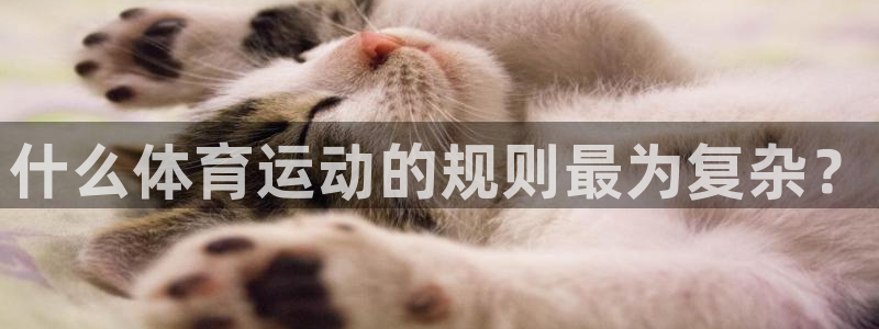 风速体育app下载安装最新版本：什么体育运动的规则最为复杂？