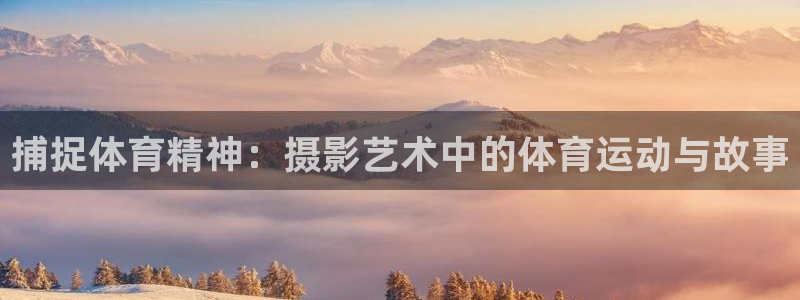风速体育app官方下载：捕捉体育精神：摄影艺术中的体育运动与故事