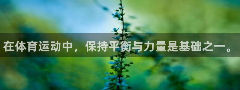 风速体育nba免费直播