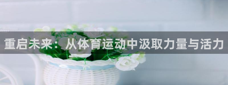 风速体育app官方下载