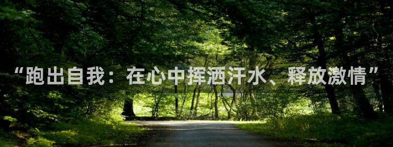 风速体育下载