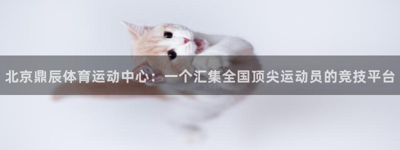 风速体育下载